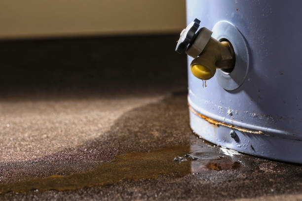 Best Water damage restoration near me  in Federalsburg, MD