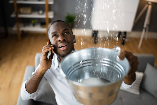 24/7 water damage repair in Federalsburg, MD