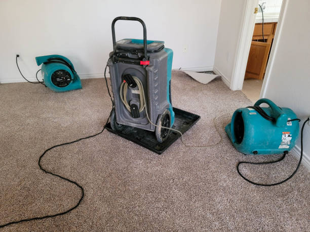 Best Emergency water damage restoration  in Federalsburg, MD