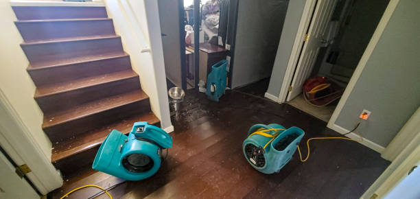 Best Ceiling water damage repair  in Federalsburg, MD