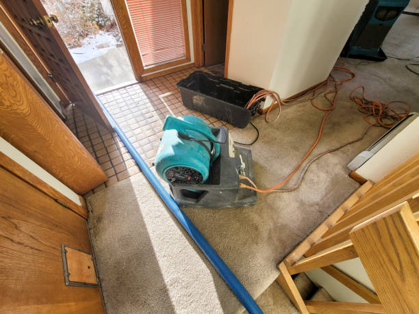 Best Water damage restoration specialists  in Federalsburg, MD