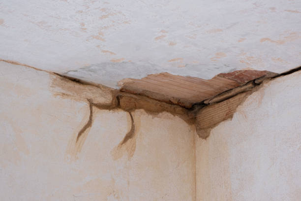Best Residential water damage restoration  in Federalsburg, MD