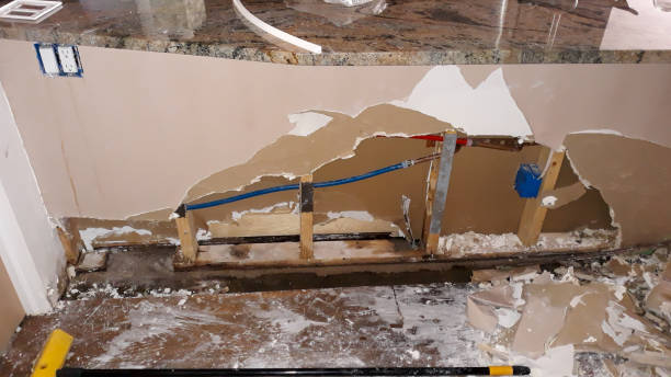 Best Local water damage restoration  in Federalsburg, MD