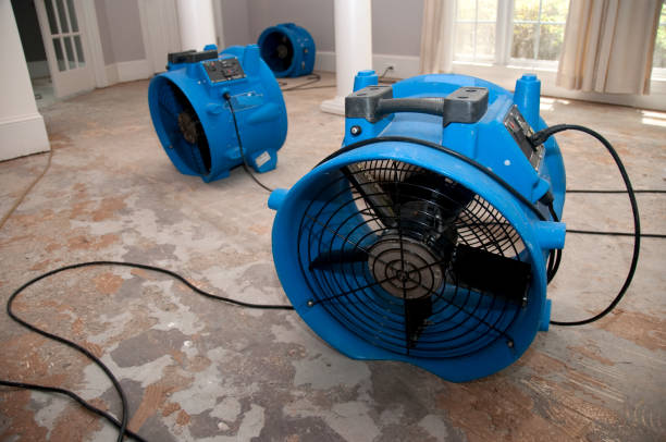 Best Flooded house restoration  in Federalsburg, MD