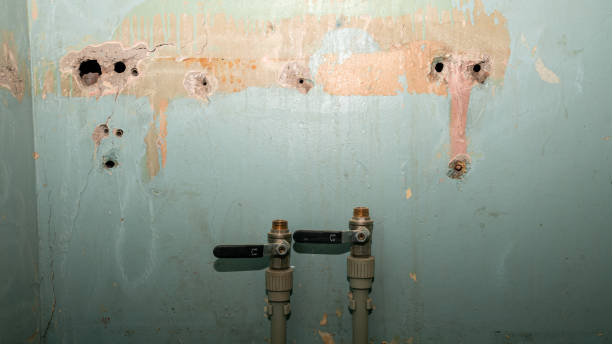 Best Residential water damage restoration  in Federalsburg, MD