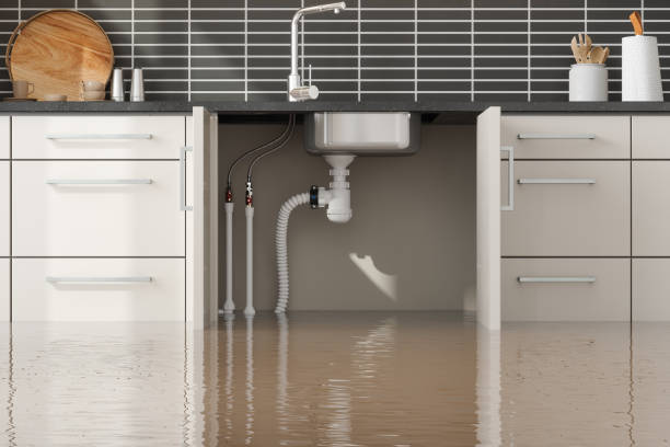 Best Professional water damage repair  in Federalsburg, MD