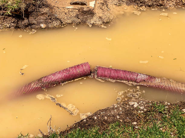 Trusted Federalsburg, MD Water damage restoration Experts