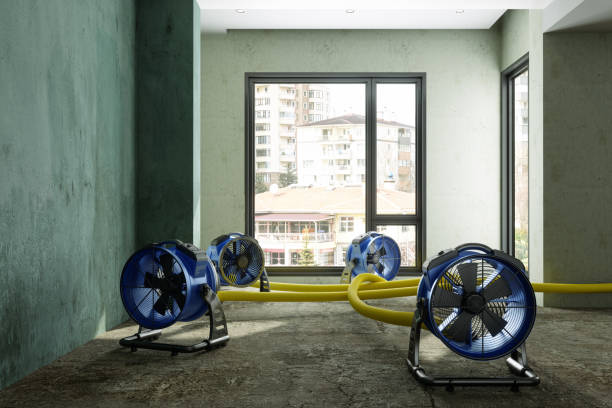 Reliable Federalsburg, MD Water damage restoration Solutions