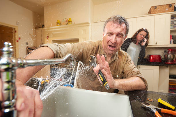 Best Flood damage cleanup  in Federalsburg, MD